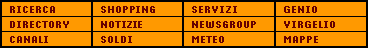 Le sezioni di Virgilio: cerca, canali, directory, genio, servizi e newsgroup